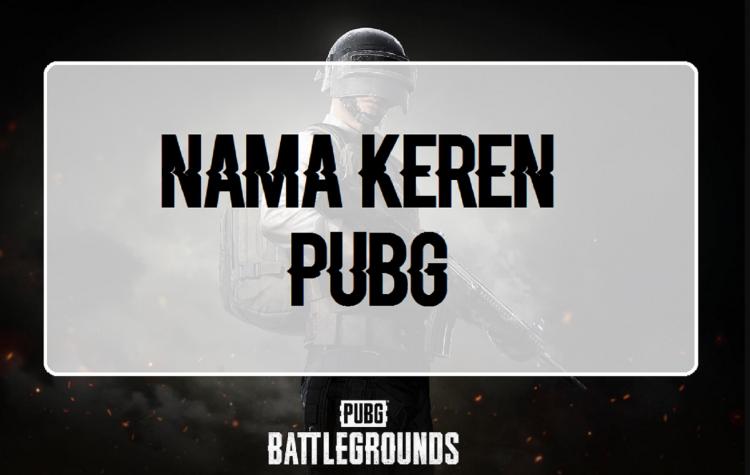 Daftar Inspirasi Nama PUBG Keren Untuk Cewek dan Cowok